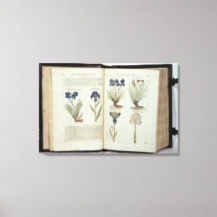 Impressão Em Tela Iris