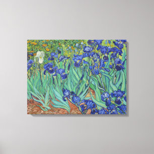 Impressão Em Tela Íris Azuis Famosas de Van Gogh Pintura Floral a Ól
