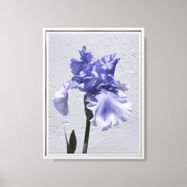 Impressão Em Tela Íris em flor (Frente)