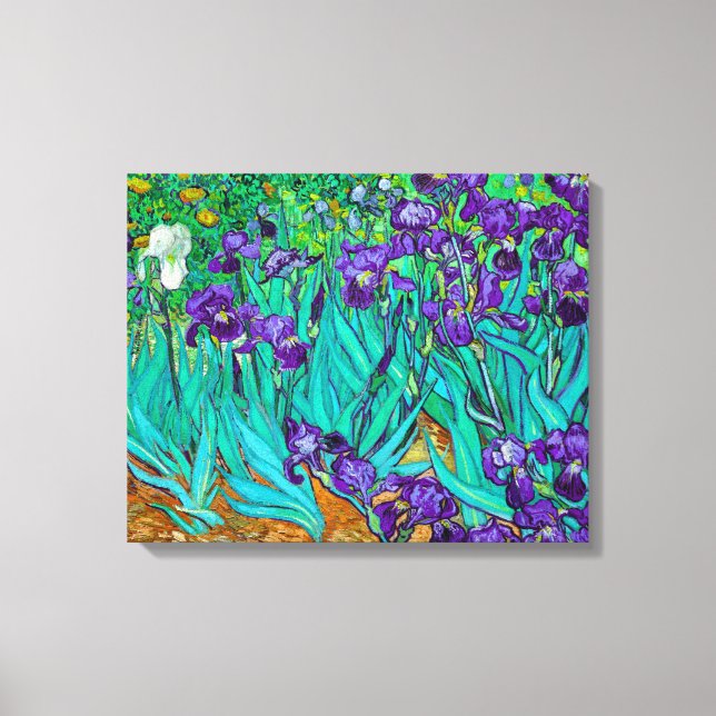 Impressão Em Tela Irises, Vincent van Gogh (Frente)