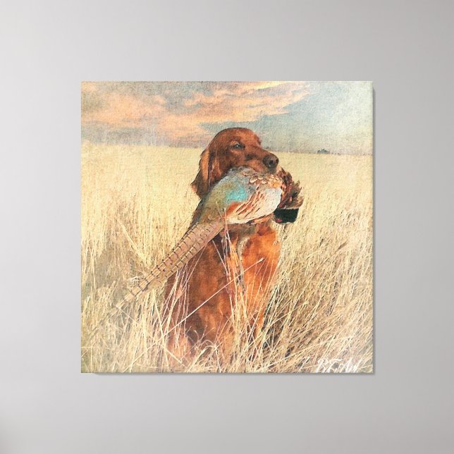 Impressão Em Tela Irish Setter com faisão (Frente)
