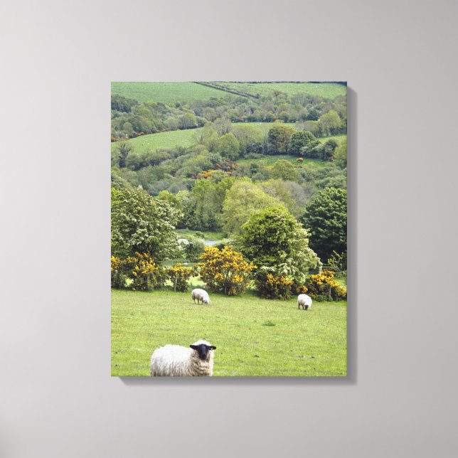 Impressão Em Tela Irlanda Ocidental, Península de Dingle, ampla (Frente)