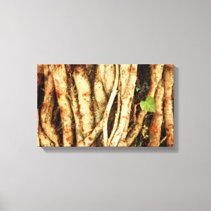 Impressão Em Tela Ivy On Oak