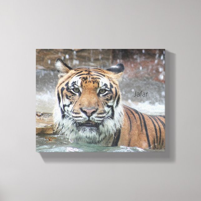 Impressão Em Tela Jafar (Frente)