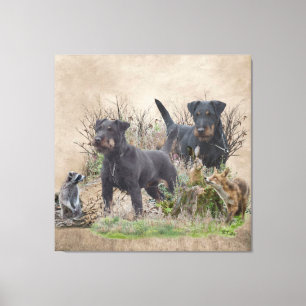 Impressão Em Tela Jagdterrier, Bo v. Renbrad Kennel.'' Sticker Pape