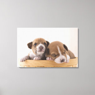 Impressão Em Tela Japão 5