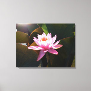 Impressão Em Tela Jardim de Água Floral Rosa Solar