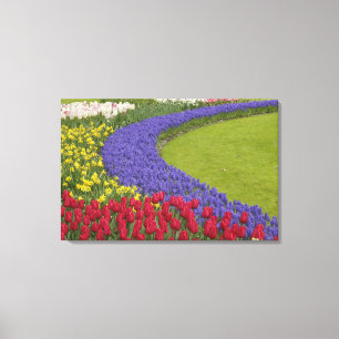 Impressão Em Tela jardim de Tulipa e Jacinto e narciso,