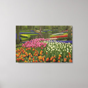 Impressão Em Tela Jardim de tulipas e jacintos, Jardins Keukenhof,