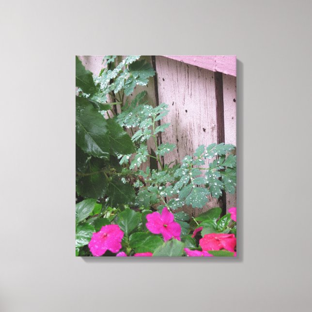 Impressão Em Tela Jardim depois da chuva - o Vineyard de Martha (Frente)