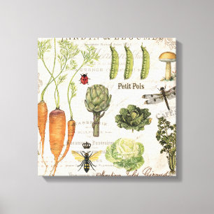 Impressão Em Tela jardim vegetal francês do vintage moderno