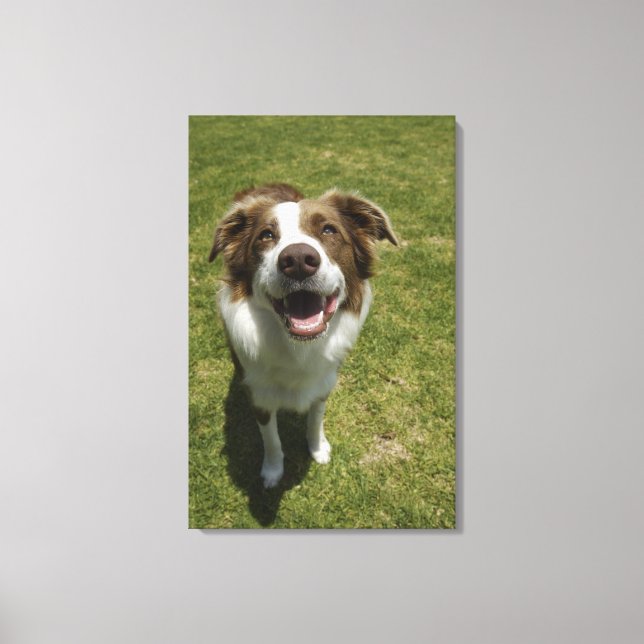 Impressão Em Tela Jardins Botânicos, Sydney, Nova Gales do Sul, 2 (Frente)