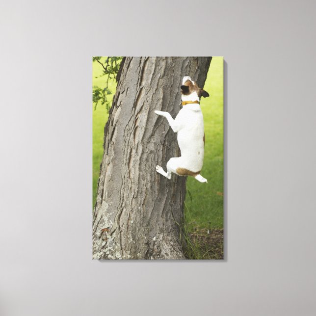 Impressão Em Tela Jardins Botânicos, Sydney, Nova Gales do Sul, 4 (Frente)