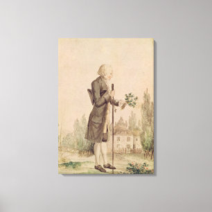 Impressão Em Tela Jean-Jacques Rousseau que recolhe ervas