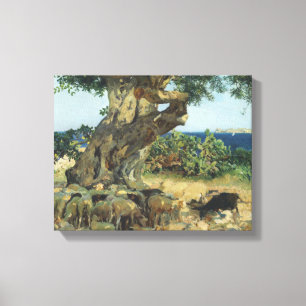 Impressão Em Tela Joaquin Sorolla - A Árvore De Carob