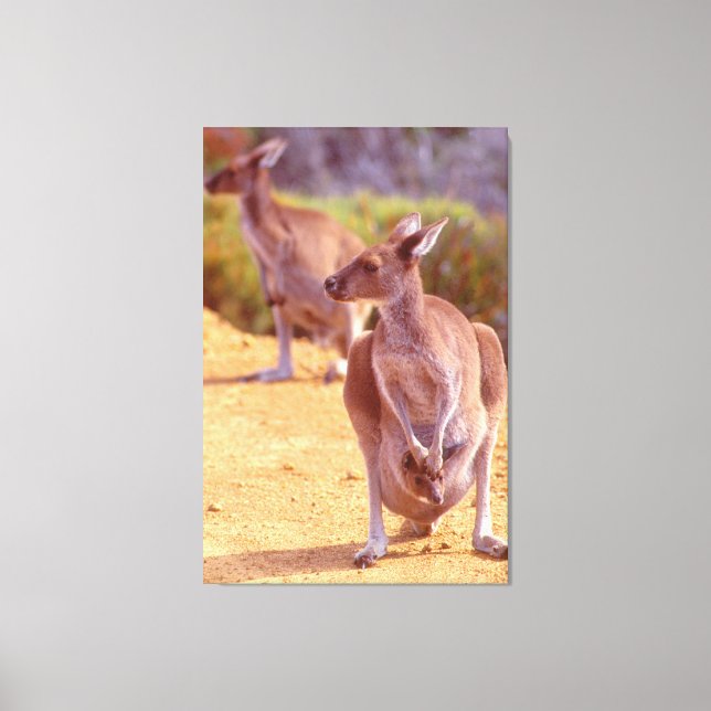 Impressão Em Tela JOEY e MOM 32x48 (Frente)