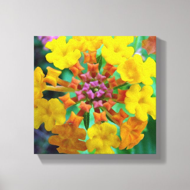 Impressão Em Tela Joias do Verão (Frente)