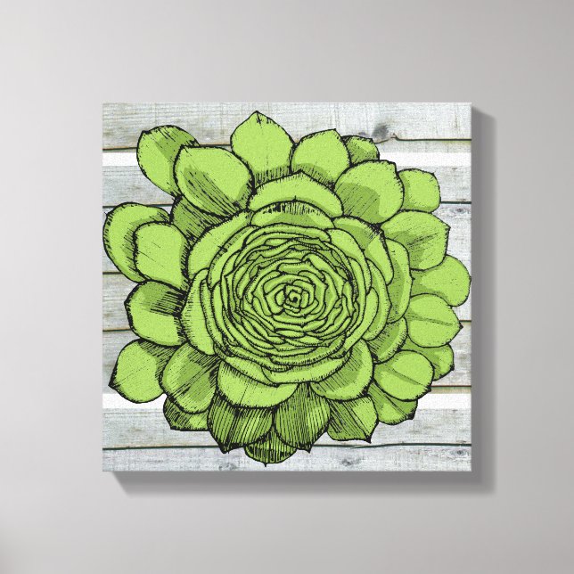 Impressão Em Tela Jonus, Jovibarba heuffelii (Frente)