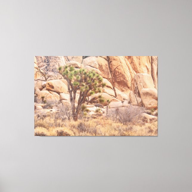 Impressão Em Tela Joshua Tree no Deserto (Frente)