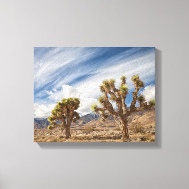 Impressão Em Tela Joshua Trees no Deserto (Frente)