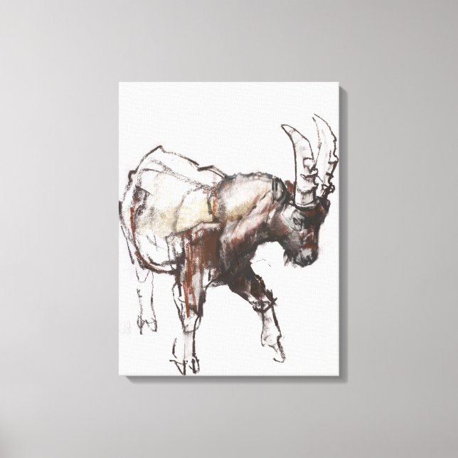 Impressão Em Tela Jovem Ibex Gran Paradiso 2005 (Frente)