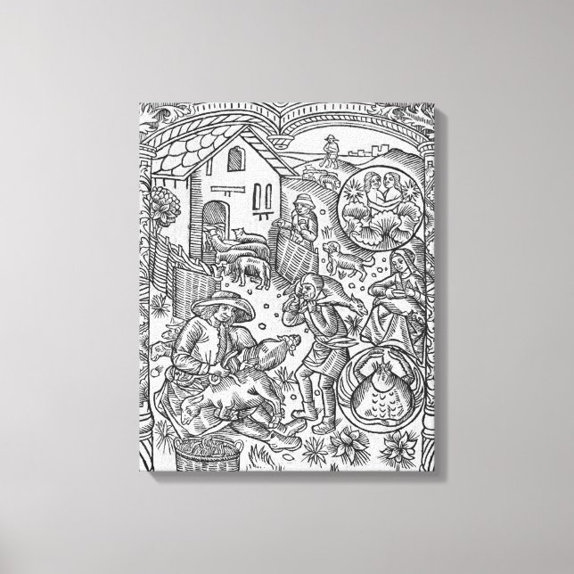 Impressão Em Tela June, ovelha shearing, Gemini (Frente)