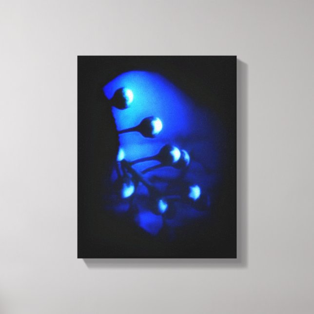 Impressão Em Tela Kate (Frente)