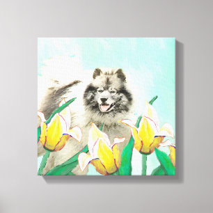 Impressão Em Tela Keeshond em Tulips pintando lindas artes caninas o
