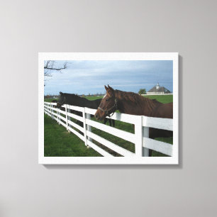 Impressão Em Tela Kentucky Horse Country