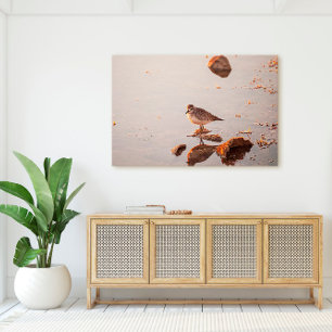 Impressão Em Tela Key West Shorebird Refletion Florida Keys