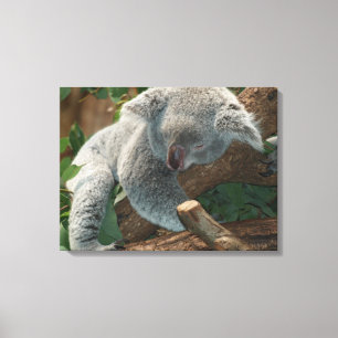 Impressão Em Tela Koala
