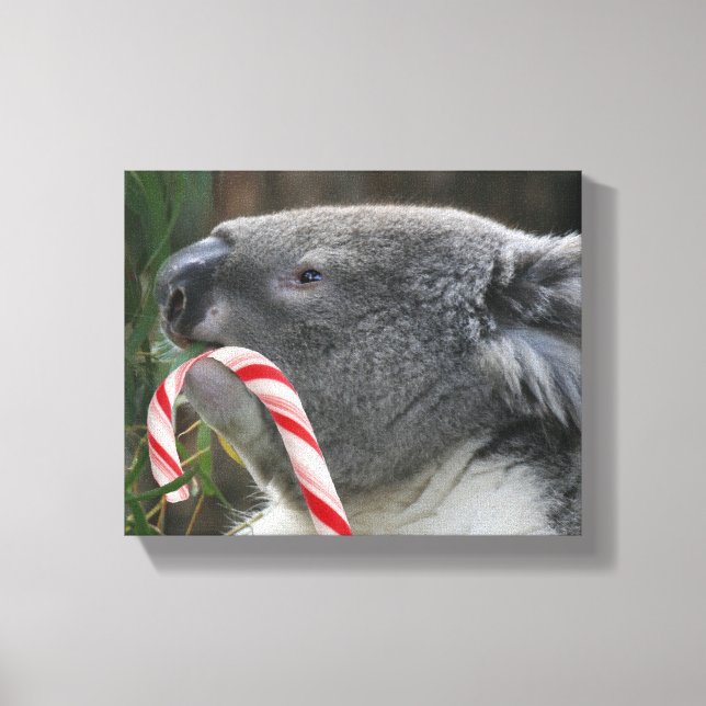 Impressão Em Tela Koala Christmas Candy Cane (Frente)
