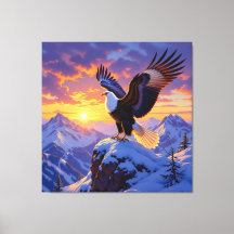 König der Lüfte Der majestätische Weißkopfseeadler