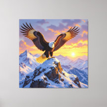 König der Lüfte Der majestätische Weißkopfseeadler