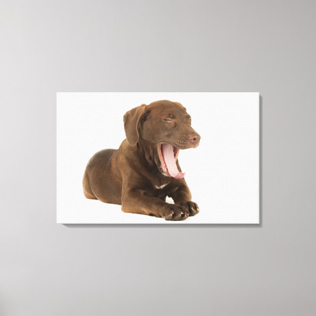 Impressão Em Tela Laboratório de Chocolate de Quatro Meses (Frente)