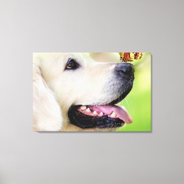Impressão Em Tela Labrador And Butterfly Throw Pillow (Frente)