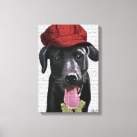 Labrador Preto com Boné Vermelho