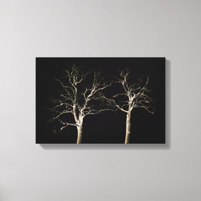 Impressão Em Tela Lado escuro 9 wacm 16,50x11 (41,25x27,5 cm) (Frente)