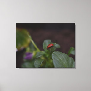 Impressão Em Tela Ladybug em Flores