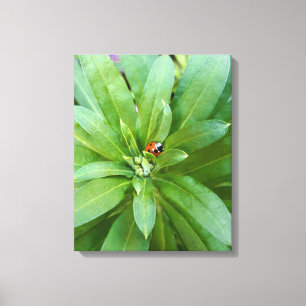 Impressão Em Tela Ladybug em Flores