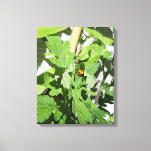 Impressão Em Tela Ladybug em Flores