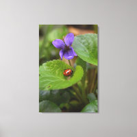 Ladybug em Flores de Violeta Doce