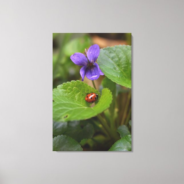 Impressão Em Tela Ladybug em Flores de Violeta Doce (Frente)
