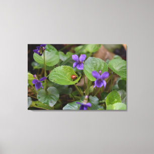 Impressão Em Tela Ladybug em Flores de Violeta Doce
