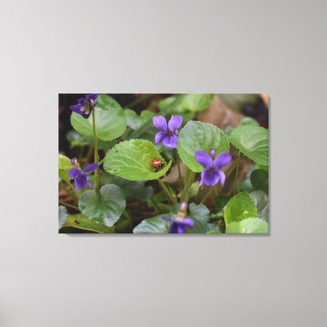 Impressão Em Tela Ladybug em Flores de Violeta Doce (Frente)