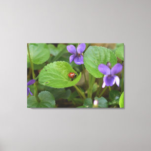 Impressão Em Tela Ladybug em Flores de Violeta Doce