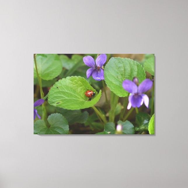 Impressão Em Tela Ladybug em Flores de Violeta Doce (Frente)