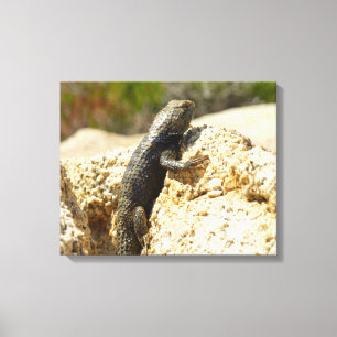 Impressão Em Tela Lagarto Espinhoso de Dorso Amarelo no Joshua Tree