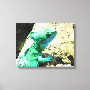 Impressão Em Tela Lagarto réptil basilisco verde