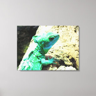 Impressão Em Tela Lagarto verde do basilisk
